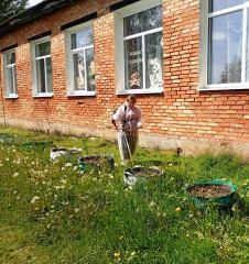 экологический субботник «Общественной территории – чистоту и порядок» - фото - 3