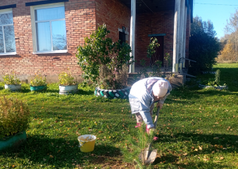 акция «Зеленая аллея». Никитский СДК, поселенческая библиотека - 4 акция «Зеленая аллея». Никитский СДК, поселенческая библиотека - фото - 4